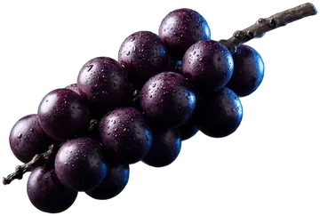 Açaí, fotografado sobre fundo claro