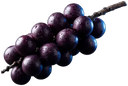 Cacho de frutos de açaí