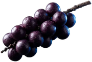 Açaí, fotografado sobre fundo claro