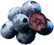 Blueberry, fotografado sobre fundo claro