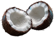 Leite de coco, fotografado sobre fundo claro