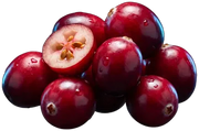 Cranberry, fotografado sobre fundo claro