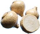 Raízes de maca peruana, uma delas cortada ao meio